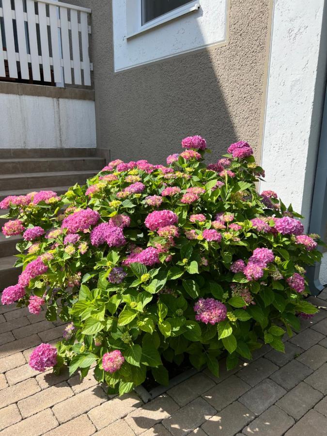 Orosháza Spirit Homes Apartments מראה חיצוני תמונה